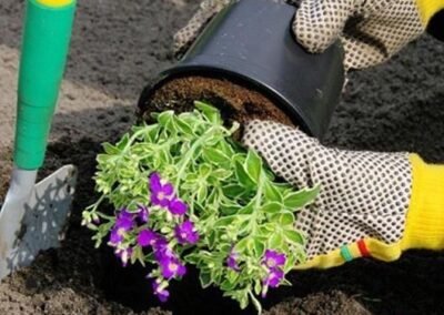 L’entretien de l’extérieur et les petits travaux à domicile peuvent rapidement devenir contraignants. Nous proposons des services de jardinage et de bricolage afin de préserver votre cadre de vie sans effort. Nos équipes interviennent pour réaliser des travaux simples et utiles, contribuant à votre confort, à votre sécurité et à la valorisation de votre environnement quotidien.